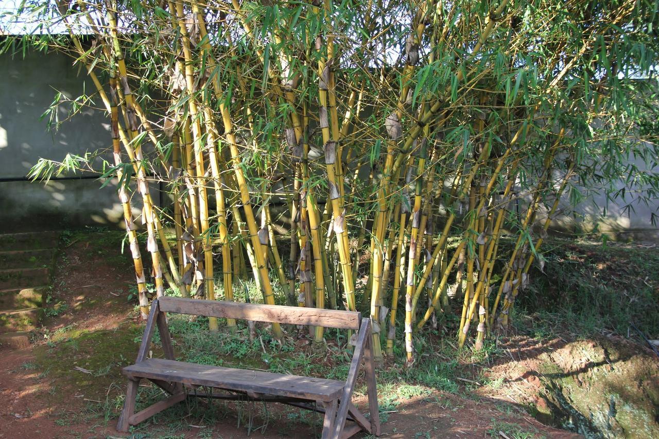 Banda Lodge Masaka Экстерьер фото